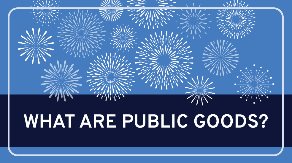 What are Public Goods?