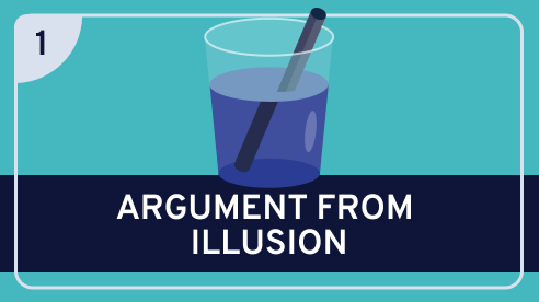 Paradoxes of Perception #1 (Argument from Illusion)