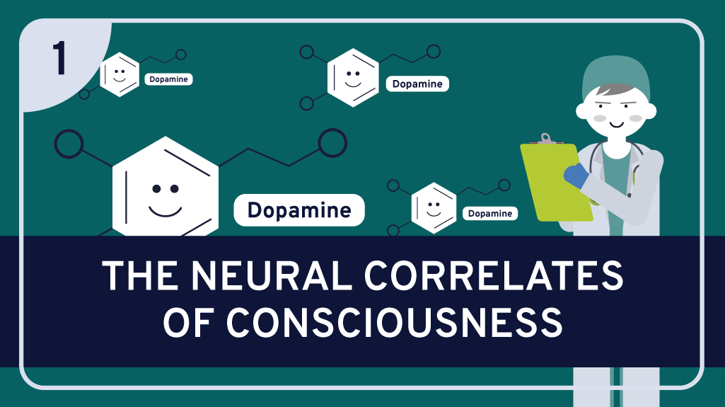 The Neural Correlates of Consciousness