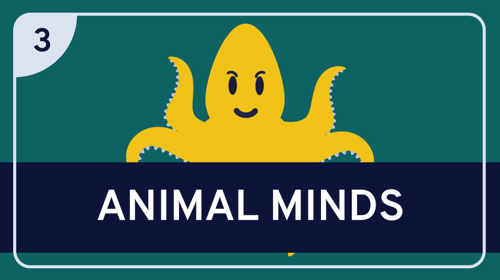 Animal Minds